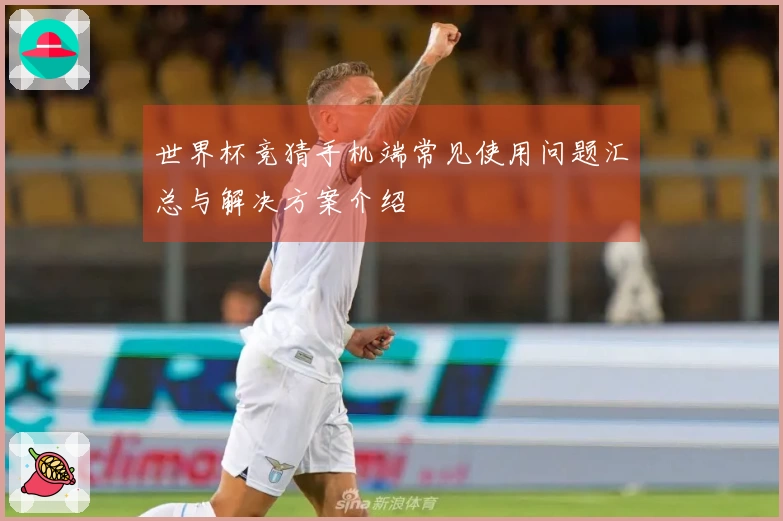 世界杯竞猜手机端常见使用问题汇总与解决方案介绍