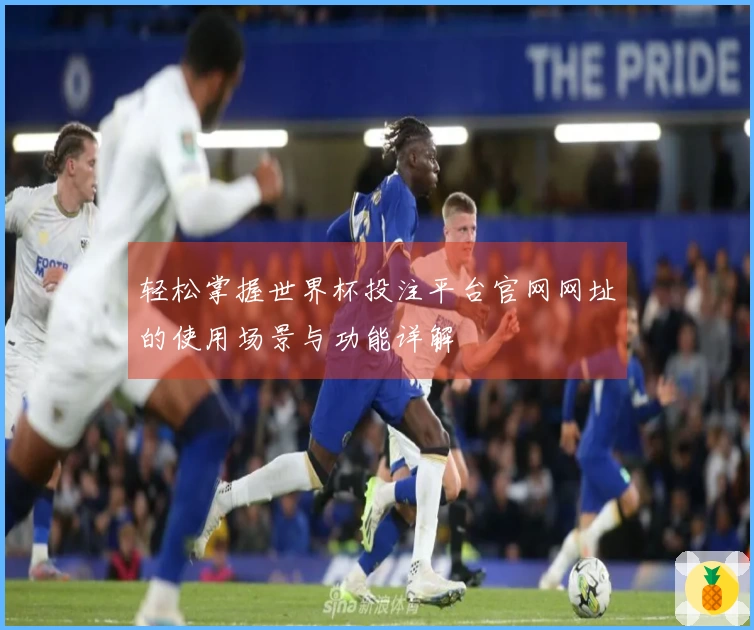 轻松掌握世界杯投注平台官网网址的使用场景与功能详解